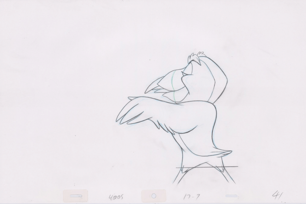 Pencil Art Puffin (Sequence 17-7)